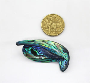 Multi Colour New Zealand Paua Shell Pin Brooch