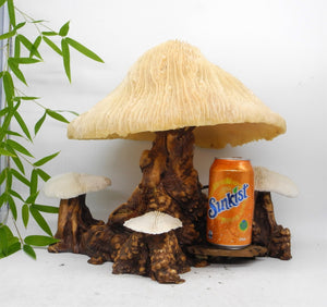 1960s  Magical Mashroom Coral Lamp With Bur Wood , Lamp, Local pick up available