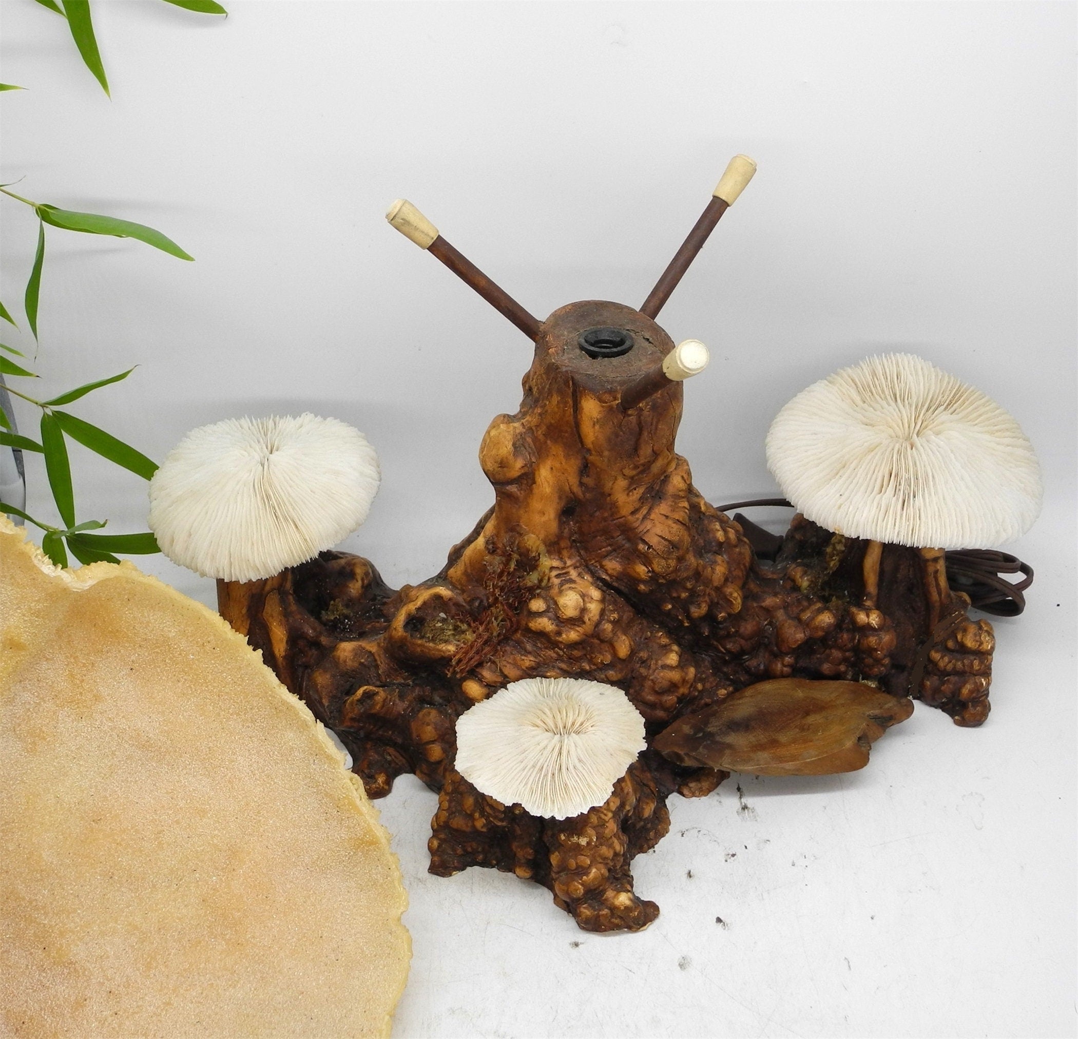 1960s  Magical Mashroom Coral Lamp With Bur Wood , Lamp, Local pick up available
