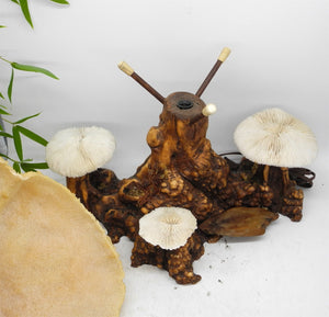 1960s  Magical Mashroom Coral Lamp With Bur Wood , Lamp, Local pick up available