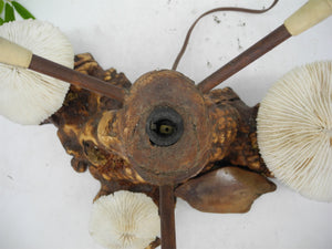 1960s  Magical Mashroom Coral Lamp With Bur Wood , Lamp, Local pick up available