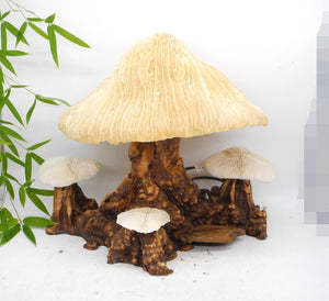 1960s  Magical Mashroom Coral Lamp With Bur Wood , Lamp, Local pick up available