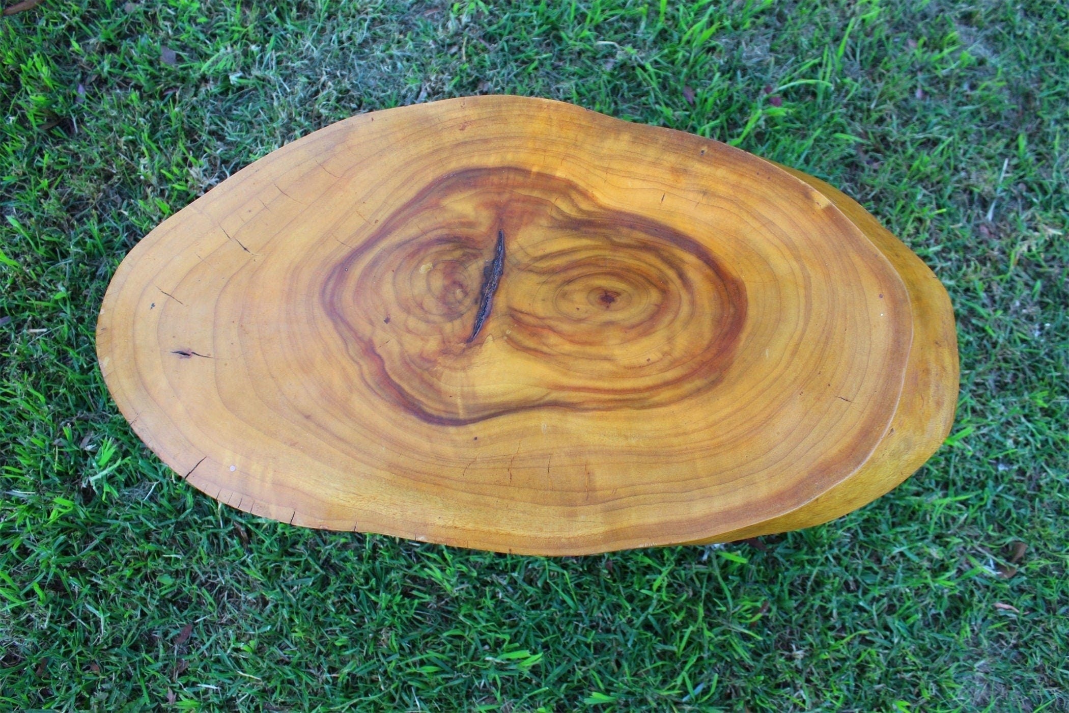 Signed Heavy Camphor Laurel Slab Top Wooden Side Table/ Coffee table, Pick up from 3134