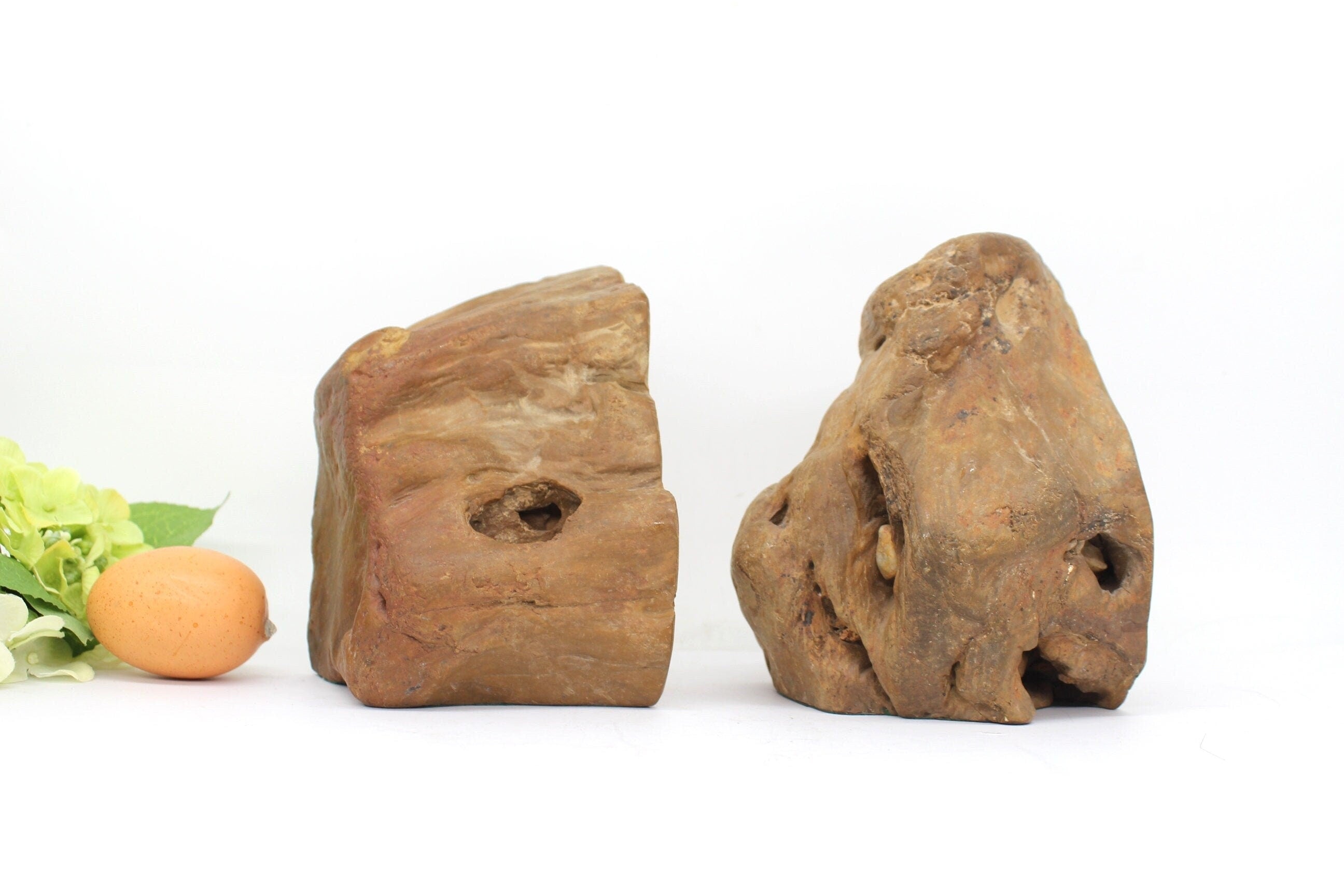 Big 4kg petrified wood bookends , Home Decor