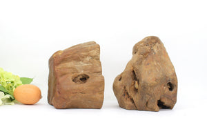 Big 4kg petrified wood bookends , Home Decor