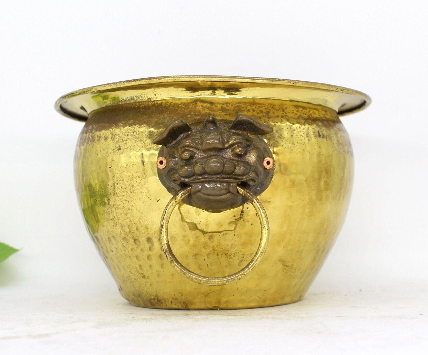 Brass Planter with Lion Head