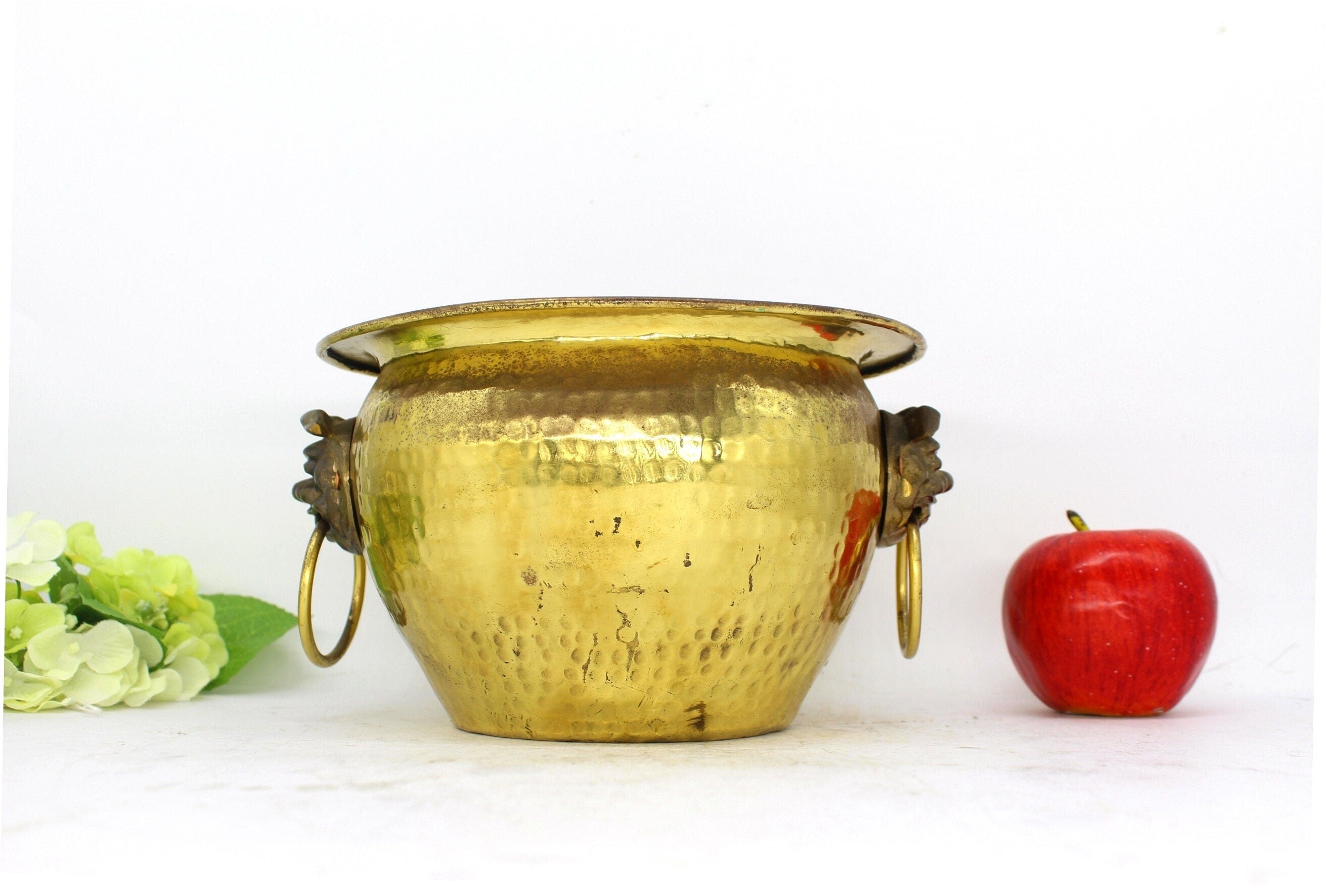 Brass Planter with Lion Head