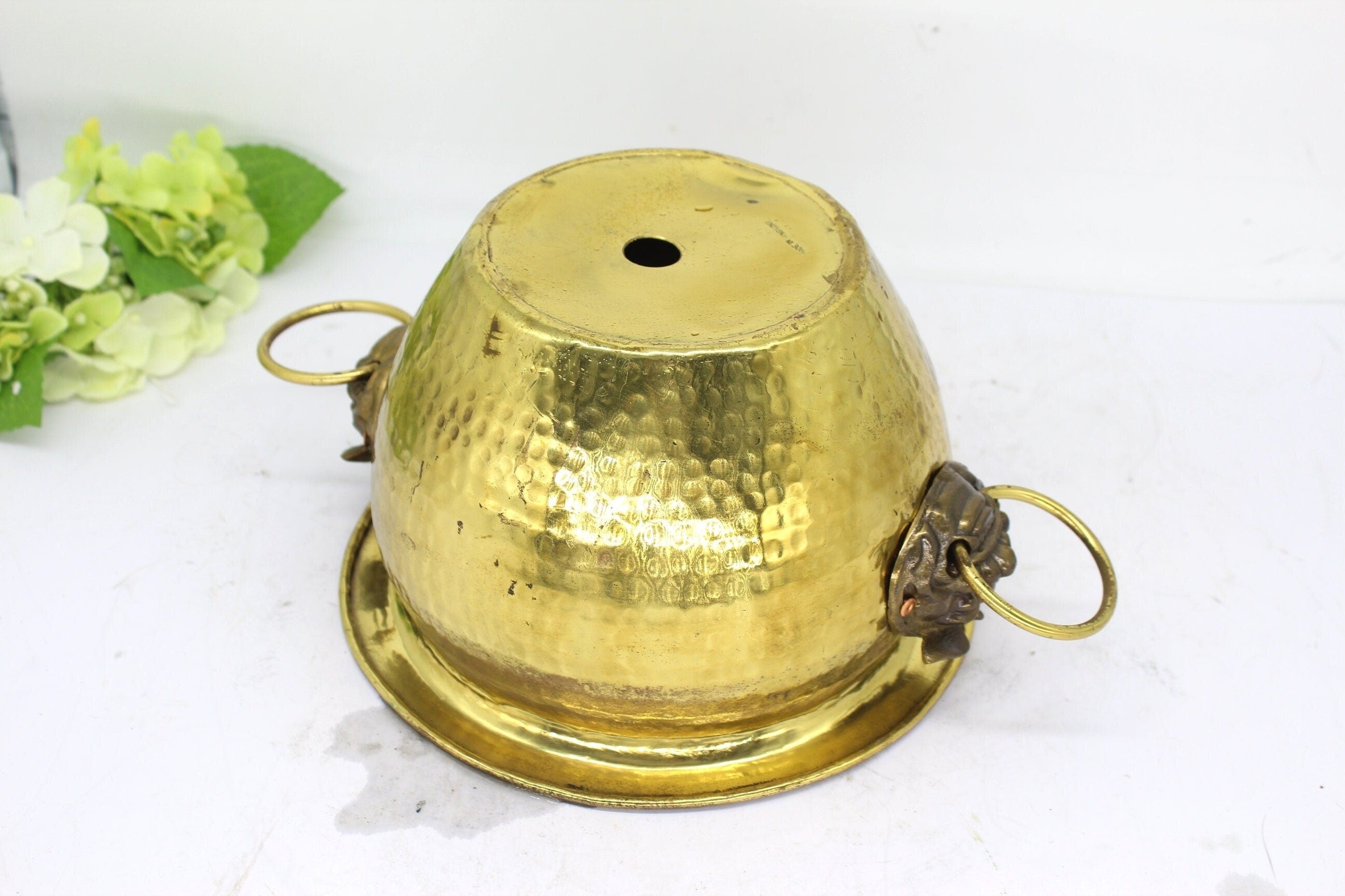 Brass Planter with Lion Head