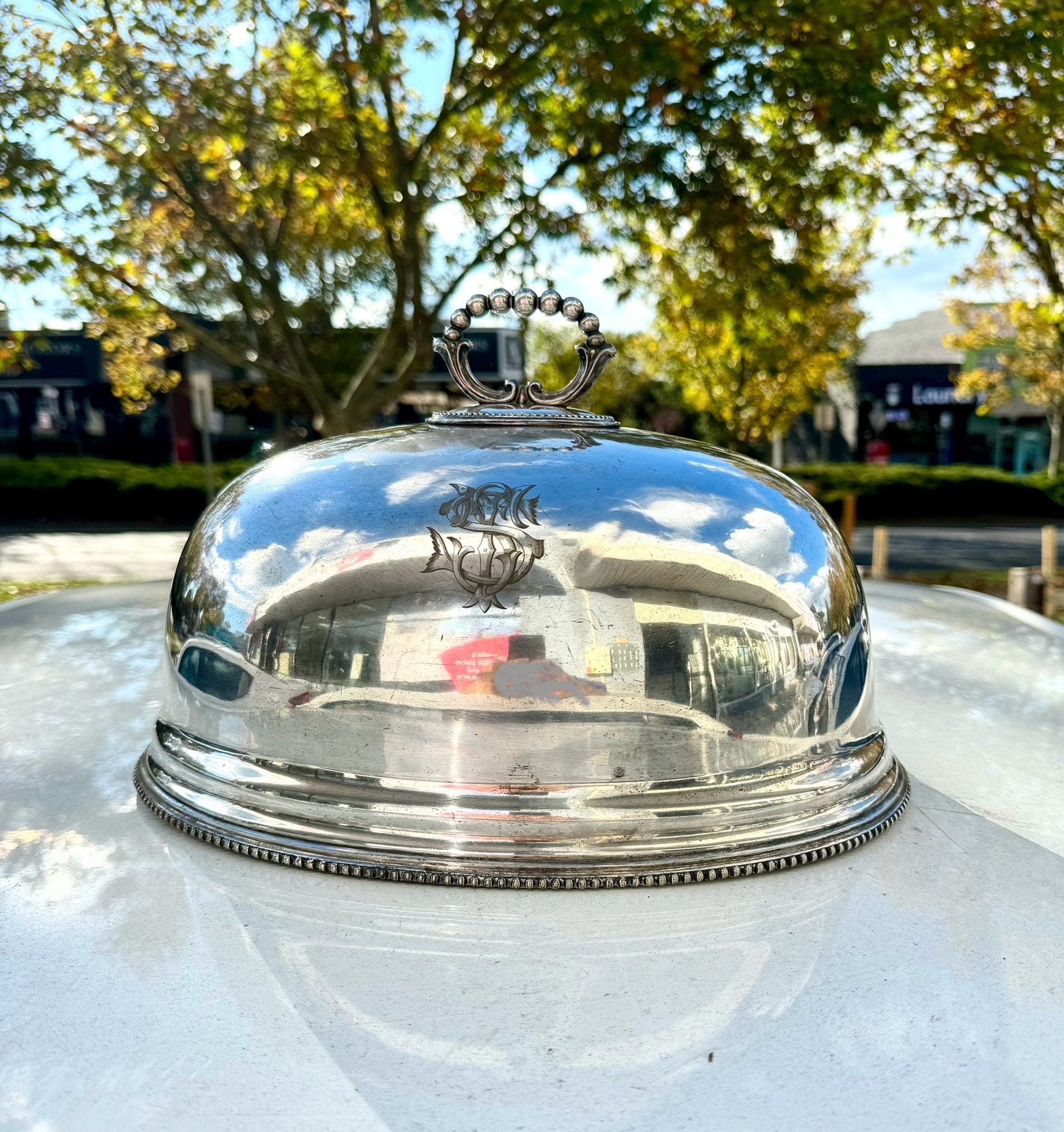 Silverplated Meat Dome Cover, Home Decor, Kitchenware,