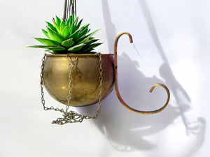 Brass hanging planter with a brass hook