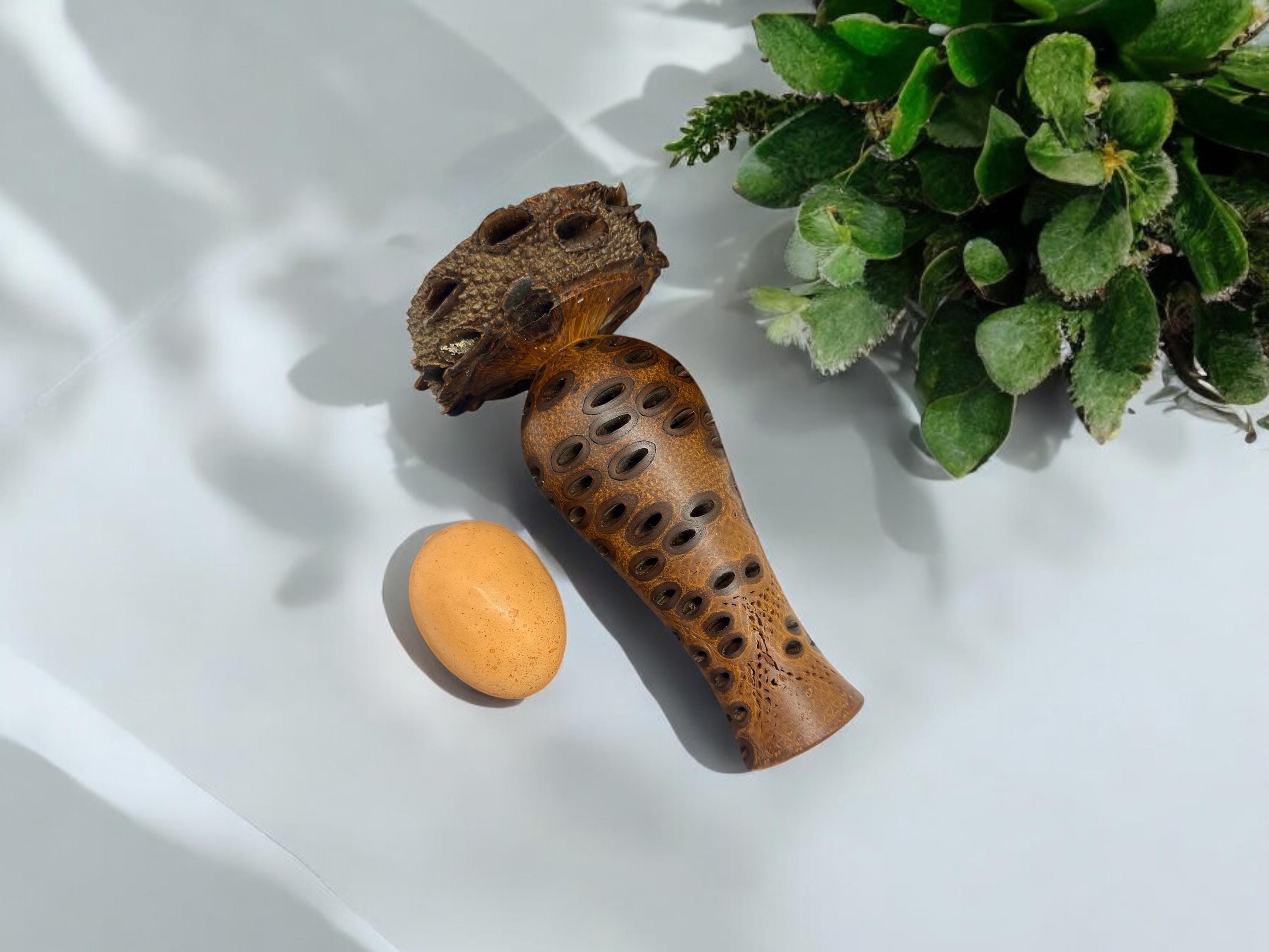 Banksia seed Bud Vase, hand made, west Australia