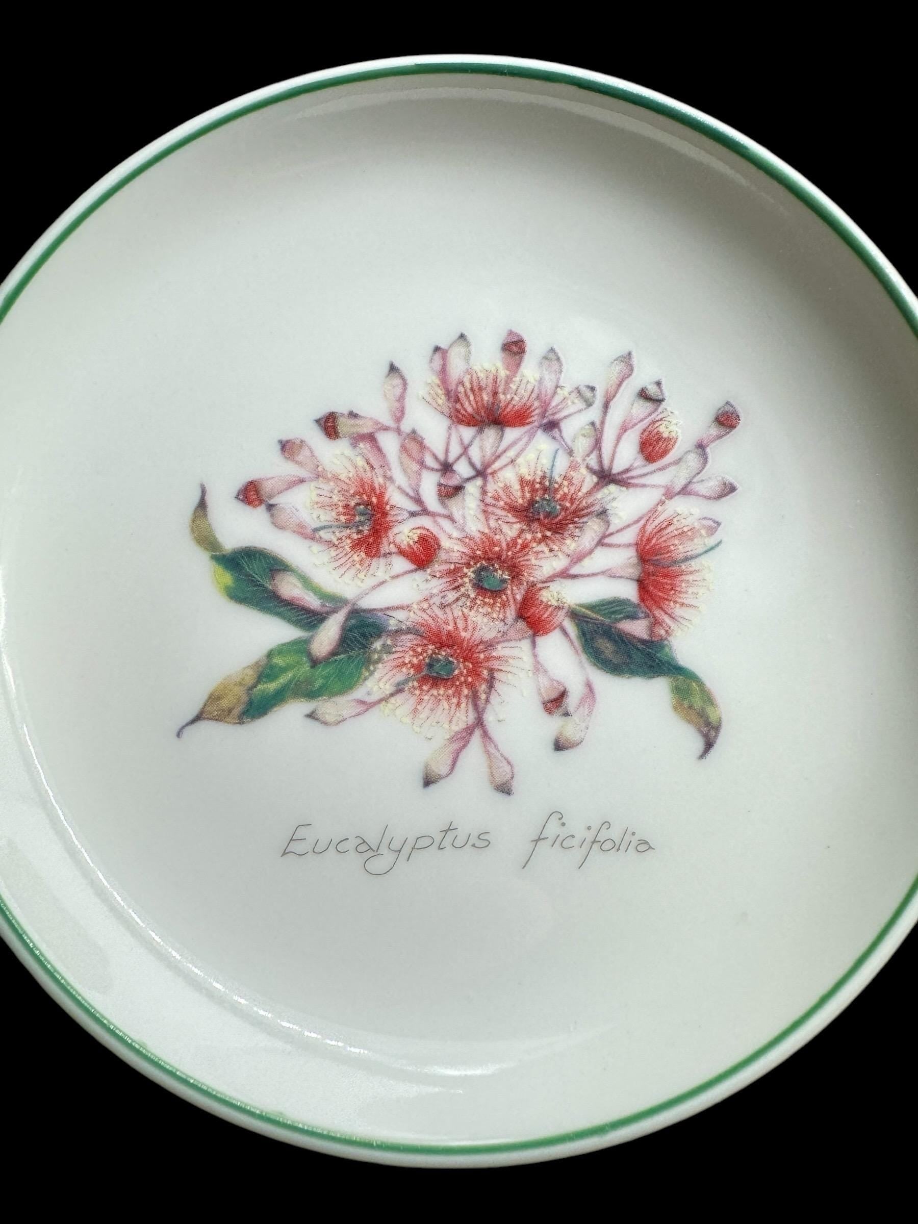 2x small plate Australia wild flower