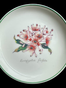 2x small plate Australia wild flower