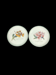 2x small plate Australia wild flower