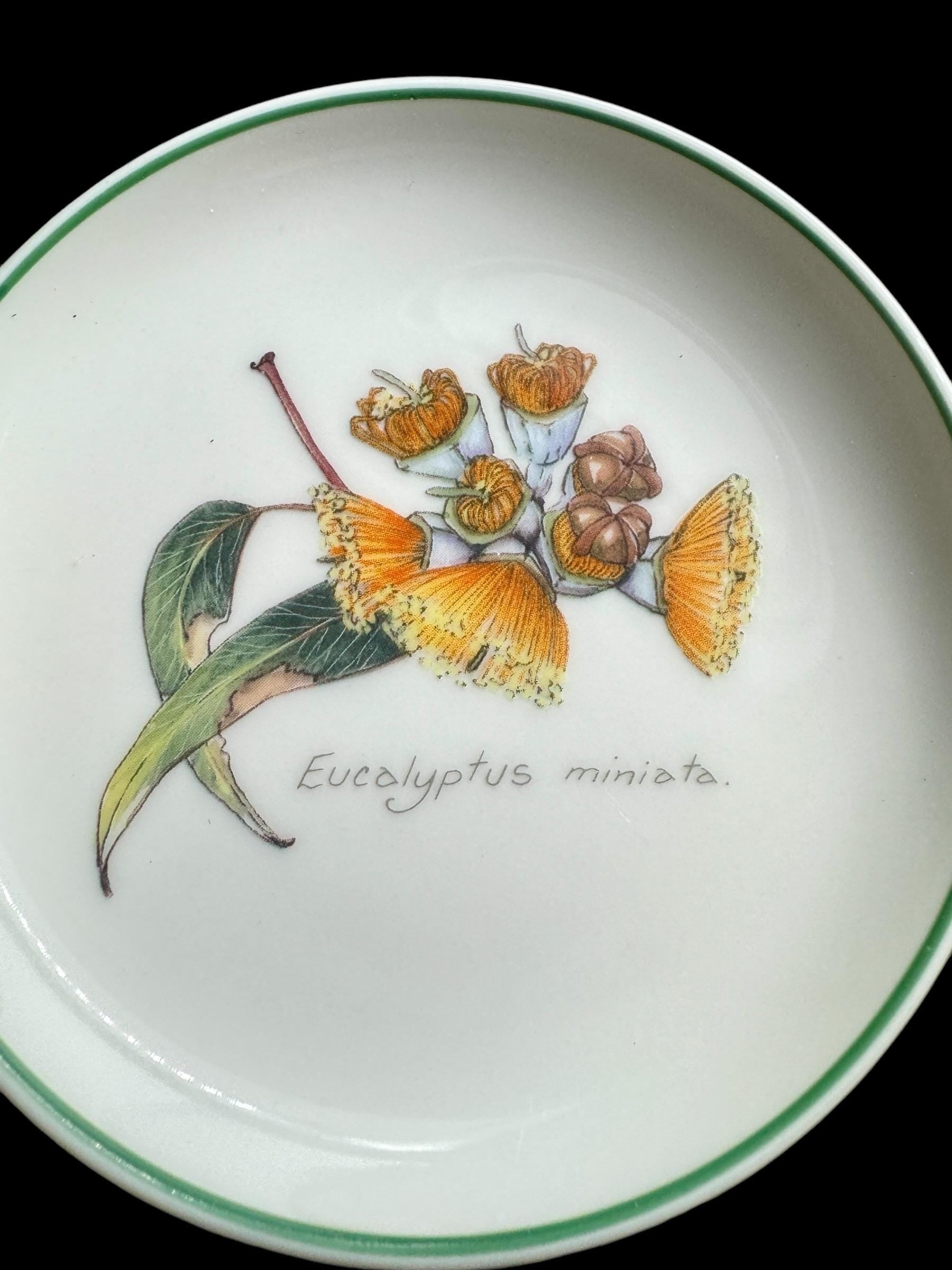 2x small plate Australia wild flower