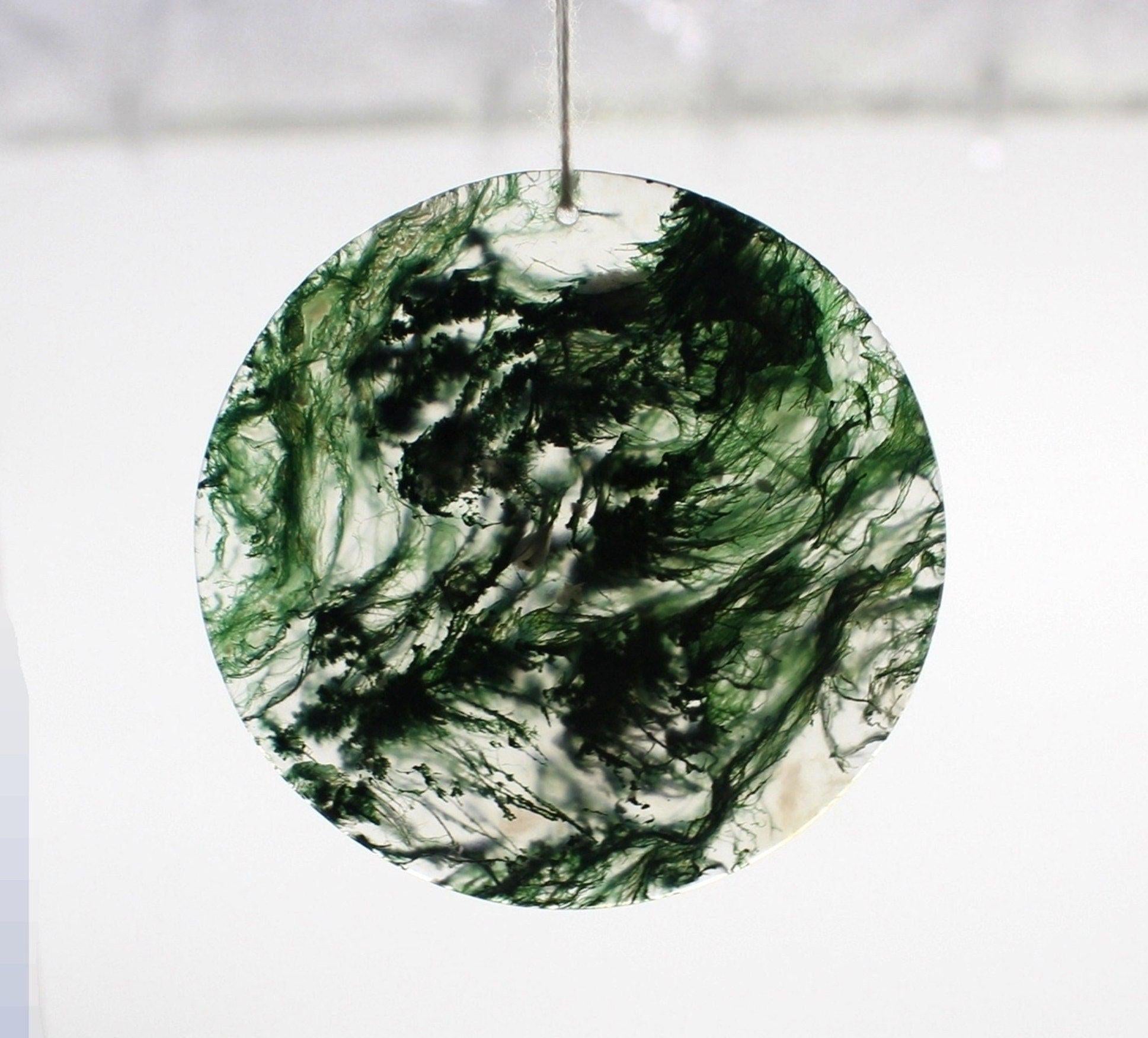 BIG Natural Moss Agate Pedant, Jewellery