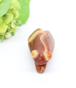 Natural Agate cicada bug Figurine, / Pendant
