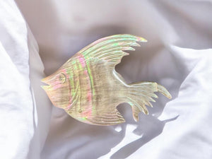 Angelfish shell made brooch