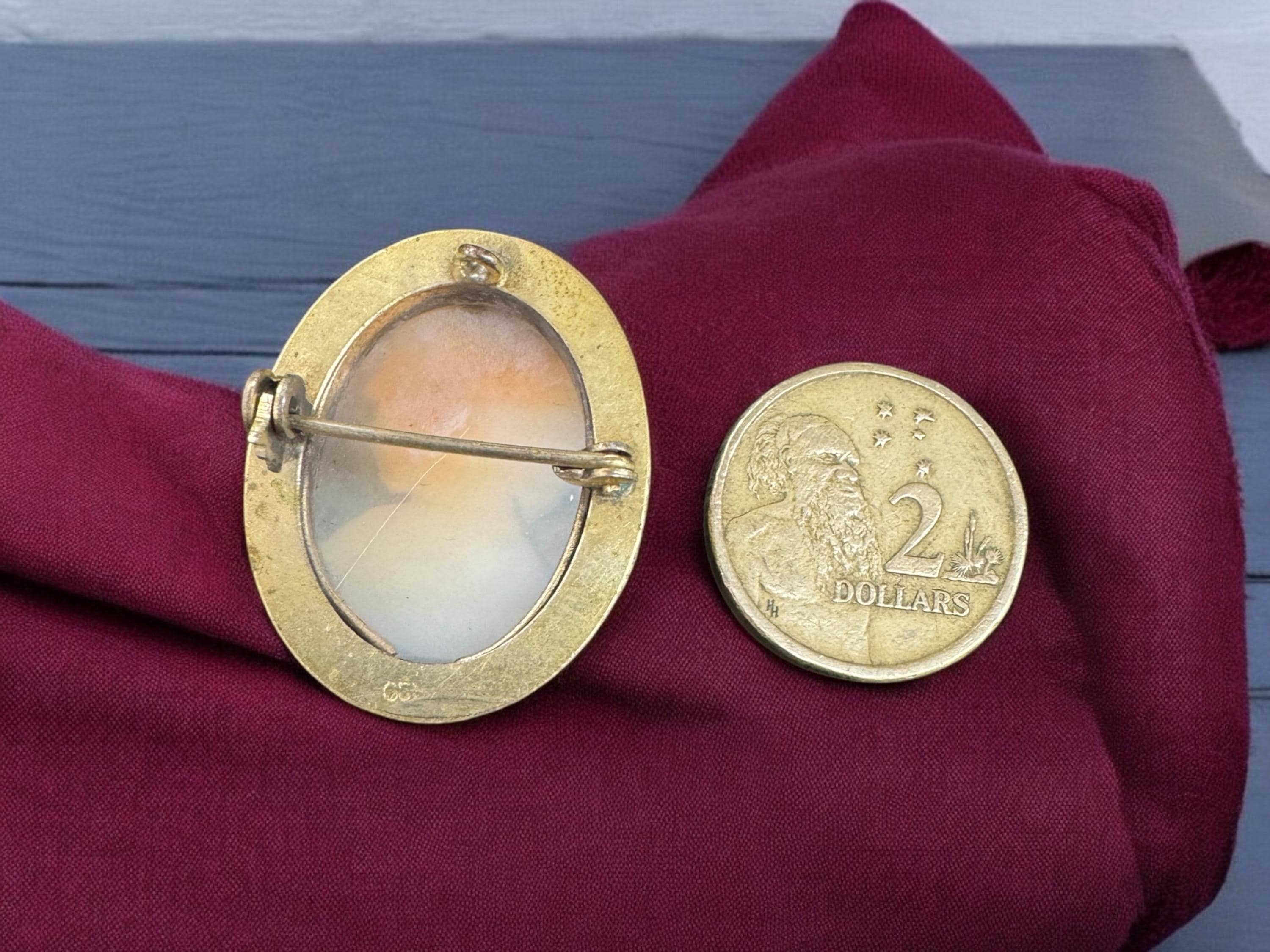 vtg Carved Shell Cameo Pin Brooch/pendant