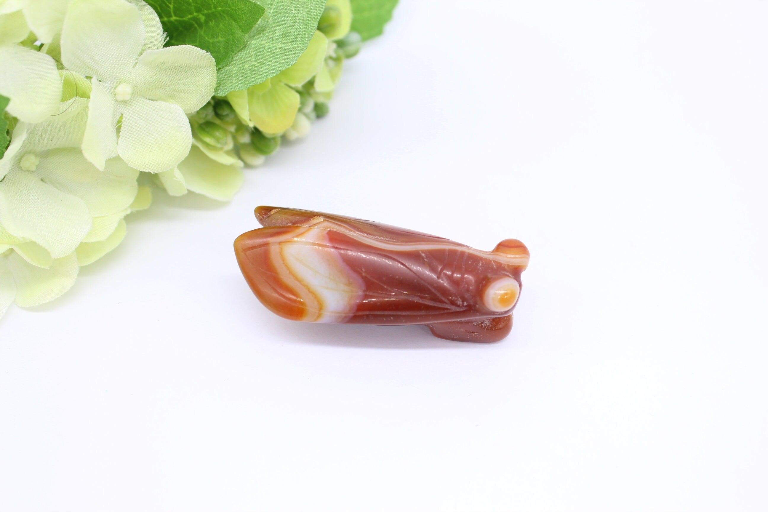 Natural Agate cicada bug Figurine, / Pendant