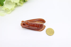 Natural Agate cicada bug Figurine, / Pendant
