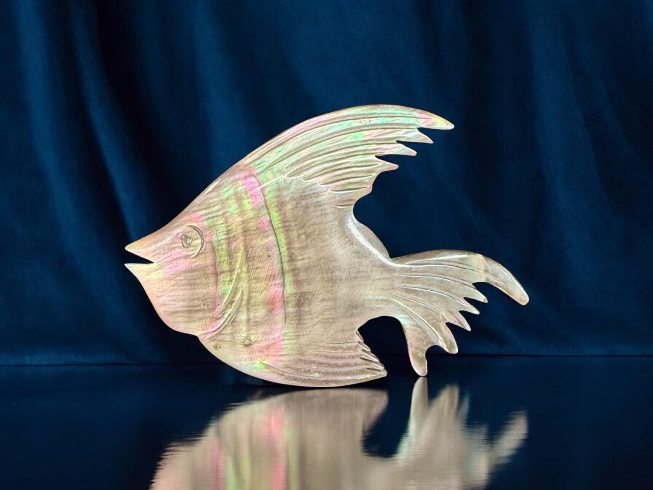 Angelfish shell made brooch