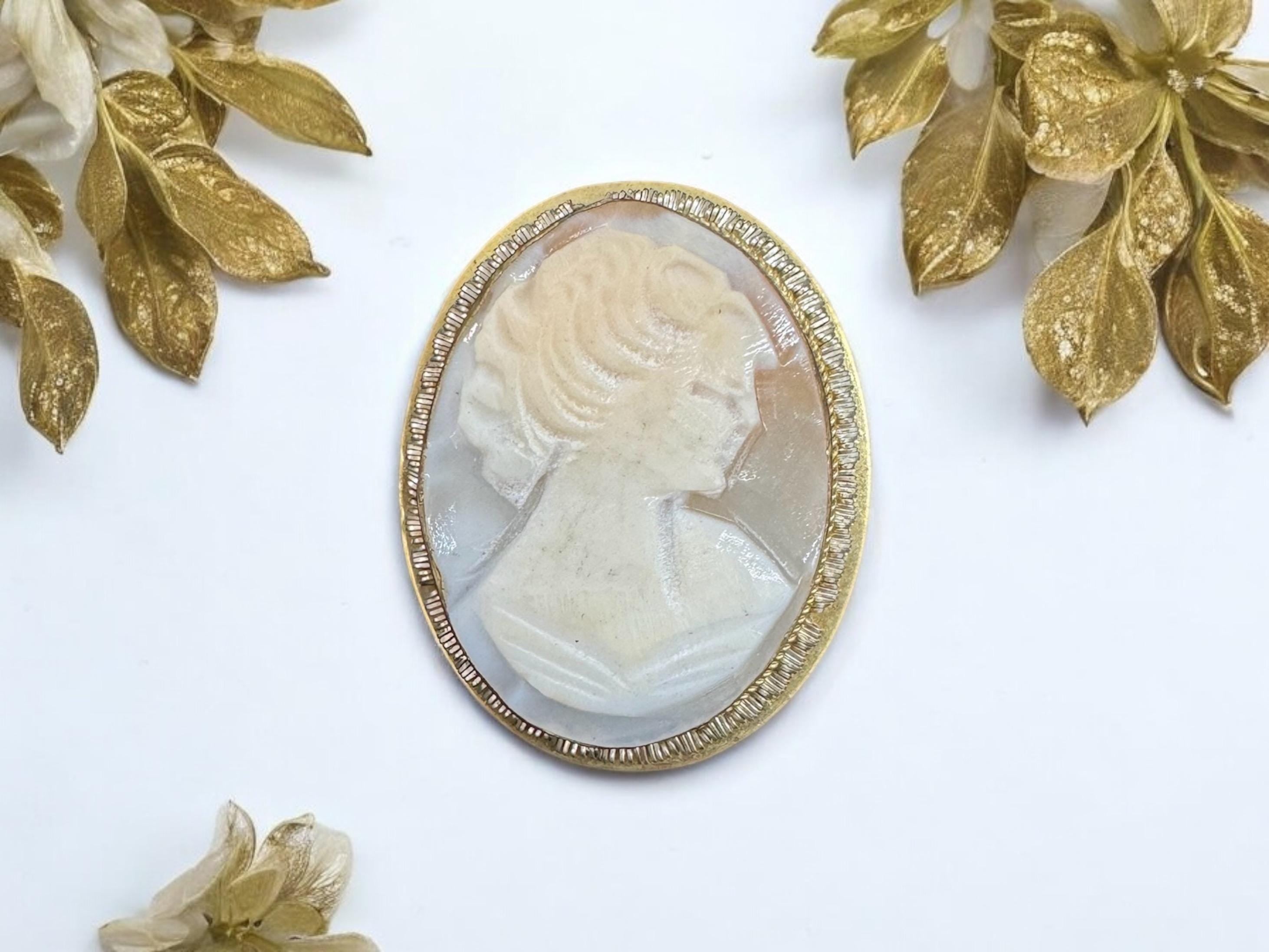 vtg Carved Shell Cameo Pin Brooch/pendant